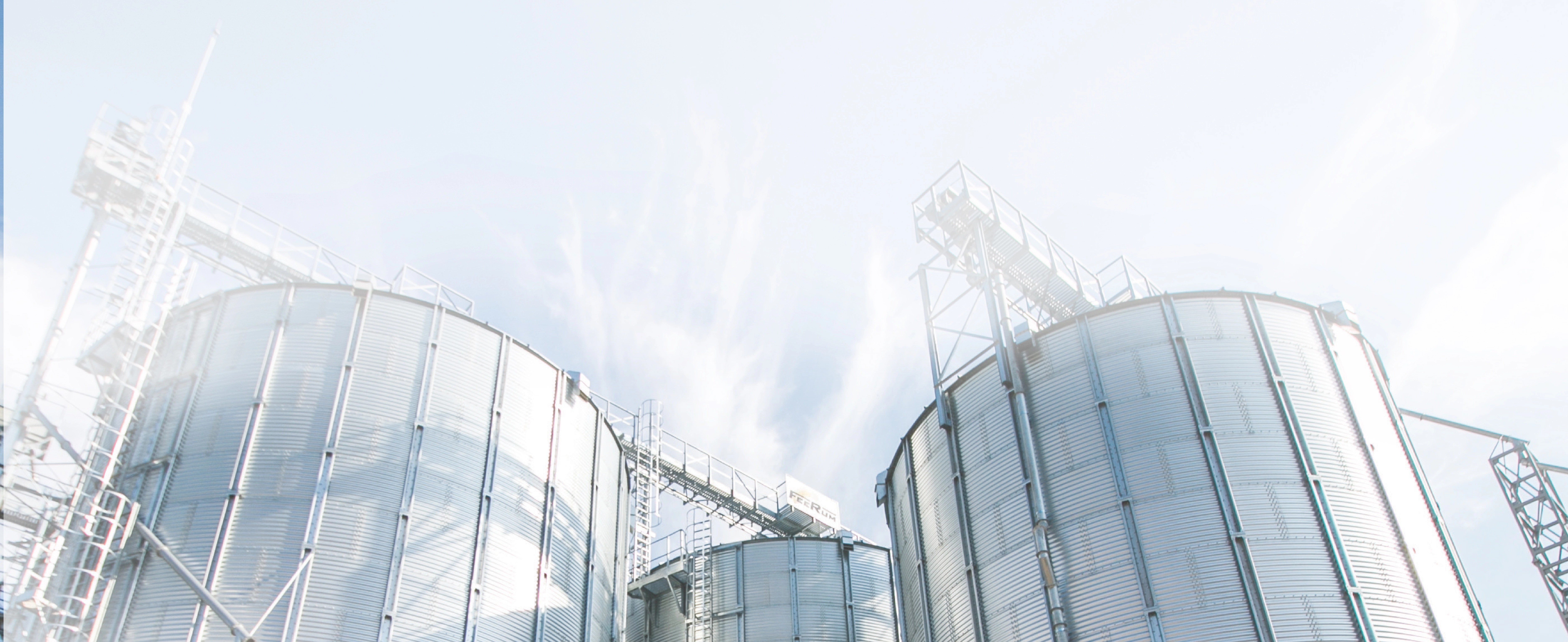 العربية هي الأولى